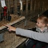 Wainfleet Fall Fair 2009
